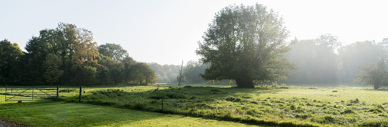 Landskab natur