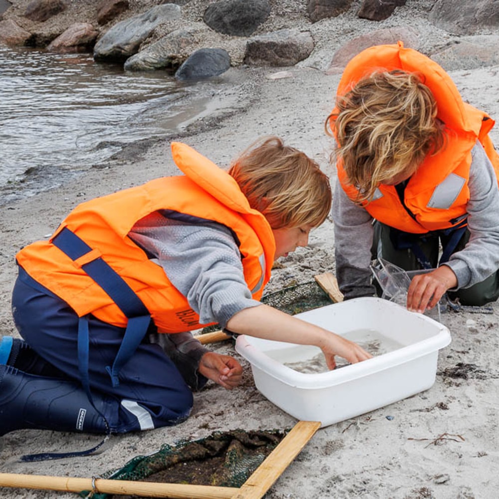 Børn lærer om livet under overfladen