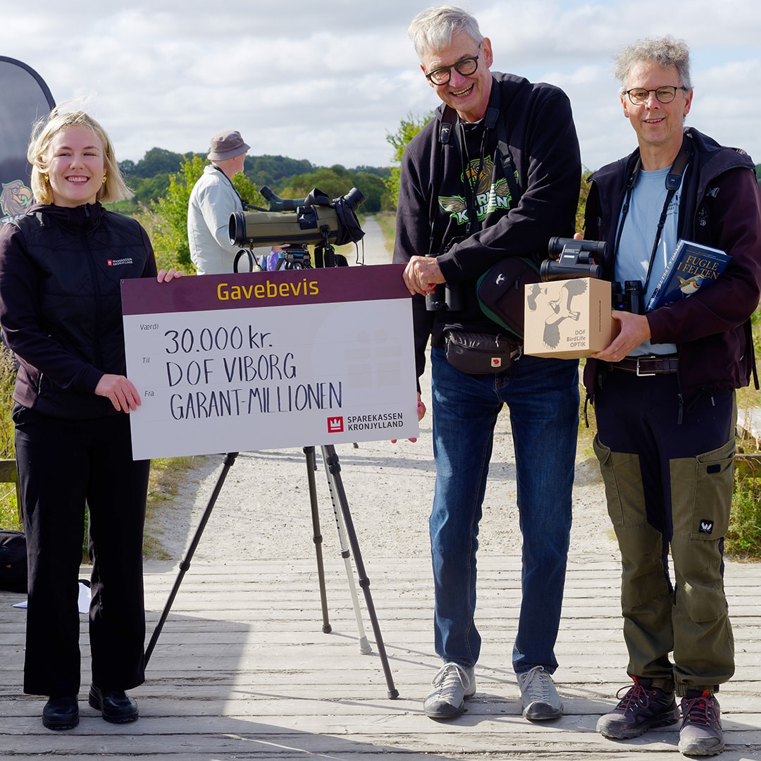 Kunderådgiver Caroline Koue fra Sparekassen Kronjylland i Bjerringbro overrækker donationen på 30.000 kr. til Jørn Falch fra ”Ørneklubben” i Viborg, og Martin Høj Hansen, formand for DOF Nordvestjylland.