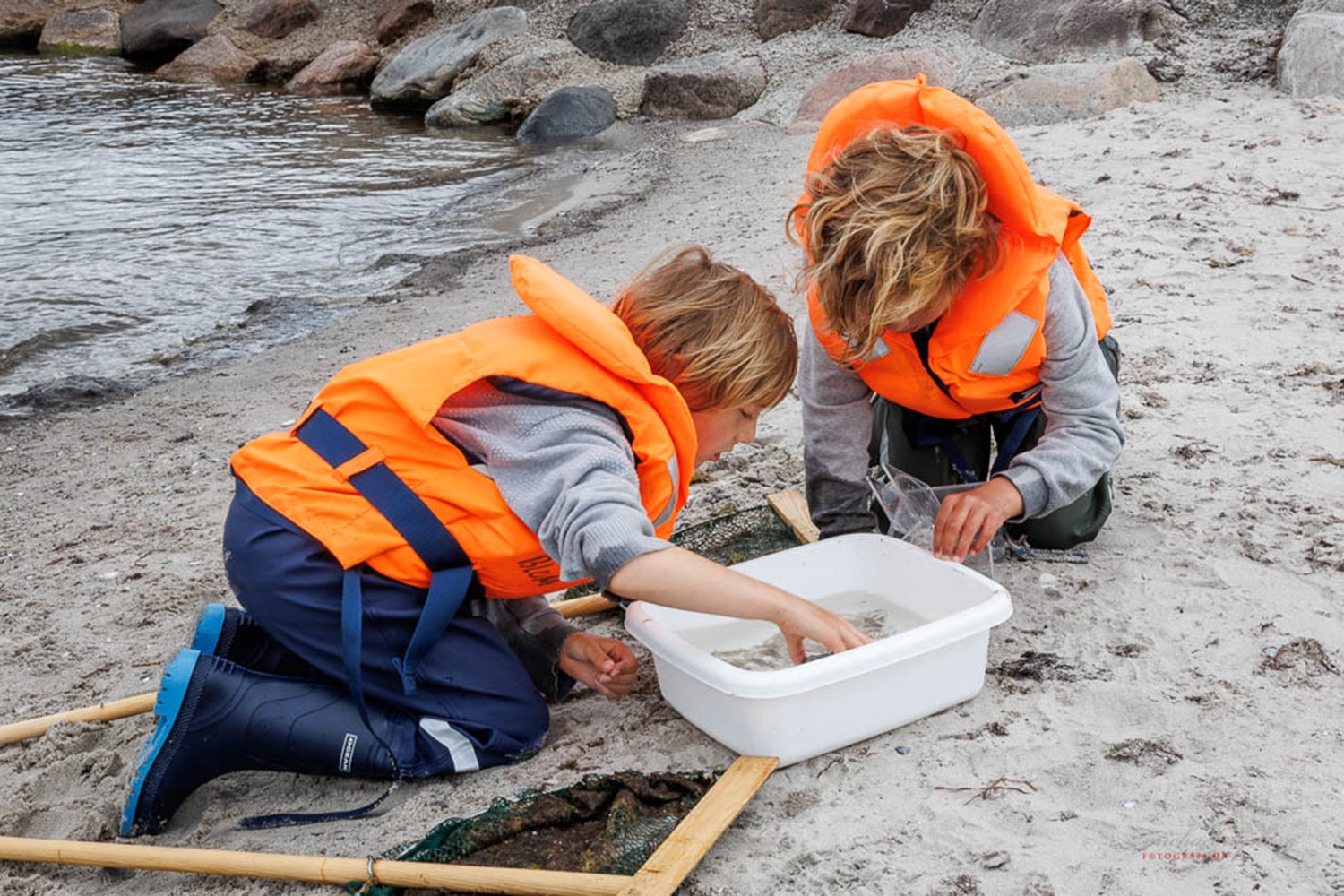 En vigtig del af Køge Bugt Stenrevs arbejde er at formidle livet under overfladen - ikke mindst til børn.